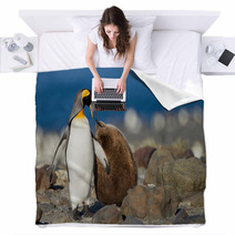 King Penguin With Young One Blankets 67661951