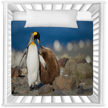 King Penguin With Young One Nursery Decor 67661951