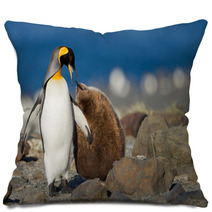 King Penguin With Young One Pillows 67661951
