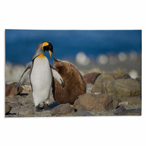 King Penguin With Young One Rugs 67661951