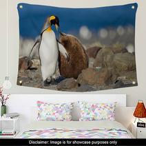 King Penguin With Young One Wall Art 67661951