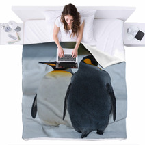 King Penguins Blankets 59245464