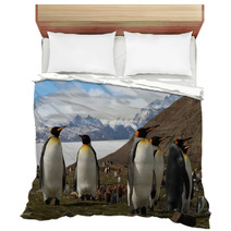 King Penguins, Fortuna Bay, South Georgia Bedding 60778802