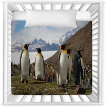King Penguins, Fortuna Bay, South Georgia Nursery Decor 60778802