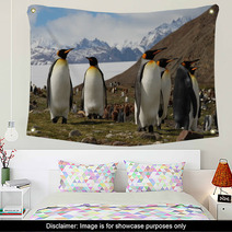 King Penguins, Fortuna Bay, South Georgia Wall Art 60778802