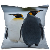 King Penguins Pillows 59245464