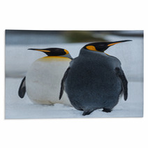 King Penguins Rugs 59245464