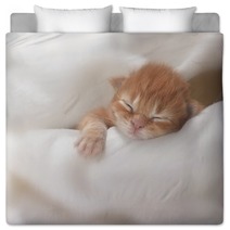 Kitten Bedding 51857427