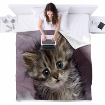 Kitten Blankets 45051063