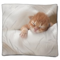 Kitten Blankets 51857427