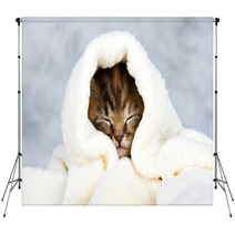 Kitten Closed In Towel Backdrops 51849935