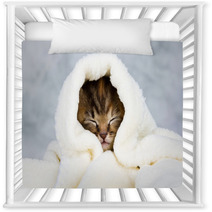 Kitten Closed In Towel Nursery Decor 51849935