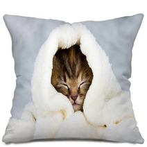 Kitten Closed In Towel Pillows 51849935