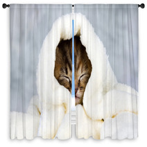 Kitten Closed In Towel Window Curtains 51849935