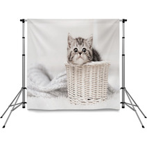 Kitten In A Basket Backdrops 58065169