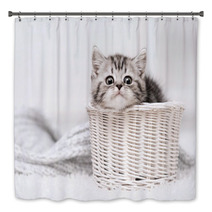 Kitten In A Basket Bath Decor 58065169
