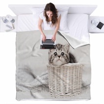 Kitten In A Basket Blankets 58065169