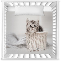 Kitten In A Basket Nursery Decor 58065169