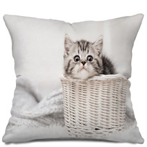 Kitten In A Basket Pillows 58065169