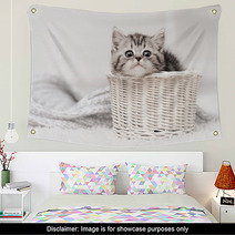 Kitten In A Basket Wall Art 58065169