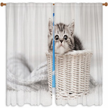 Kitten In A Basket Window Curtains 58065169