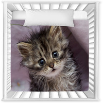 Kitten Nursery Decor 45051063