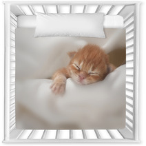Kitten Nursery Decor 51857427