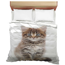 Kitten On A White Background Bedding 60638523