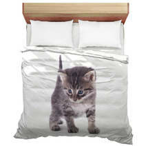 Kitten On A White Background. Bedding 66326700