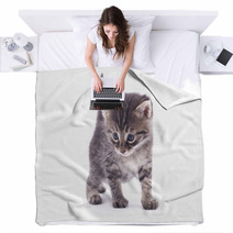 Kitten On A White Background. Blankets 66326700