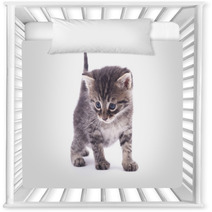 Kitten On A White Background. Nursery Decor 66326700