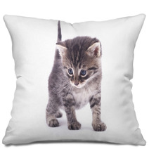 Kitten On A White Background. Pillows 66326700