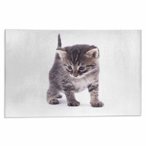 Kitten On A White Background. Rugs 66326700