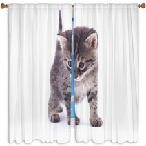 Kitten On A White Background. Window Curtains 66326700