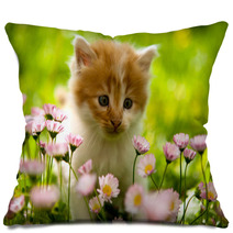 Kitten Pillows 41405868