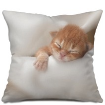 Kitten Pillows 51857427