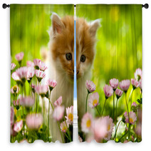 Kitten Window Curtains 41405868