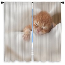 Kitten Window Curtains 51857427