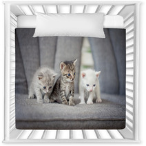 Kittens Nursery Decor 61812792