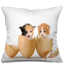 Kittens Pillows 52108607