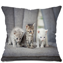 Kittens Pillows 61812792