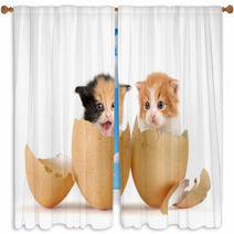 Kittens Window Curtains 52108607