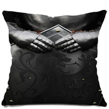 Knight Pillows 44383815