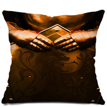 Knight - With Brown Color Pillows 49712943
