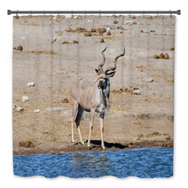 Kudu - Etosha, Namibia Bath Decor 93155434