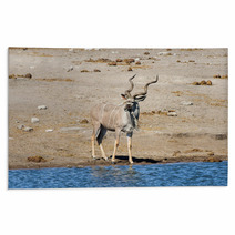 Kudu - Etosha, Namibia Rugs 93155434