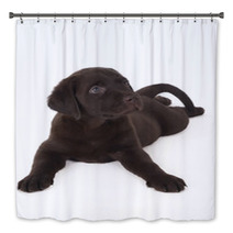 Labrador Puppy Bath Decor 59056303