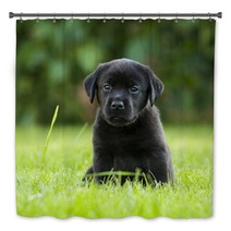 Labrador Puppy Bath Decor 67173723
