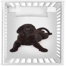 Labrador Puppy Nursery Decor 59056303
