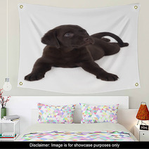 Labrador Puppy Wall Art 59056303